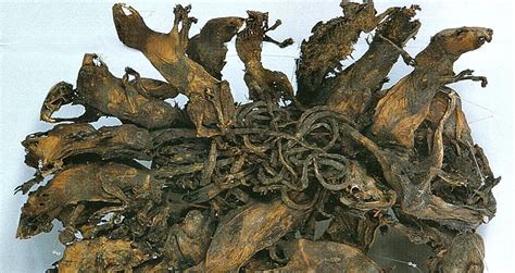 Rat King .